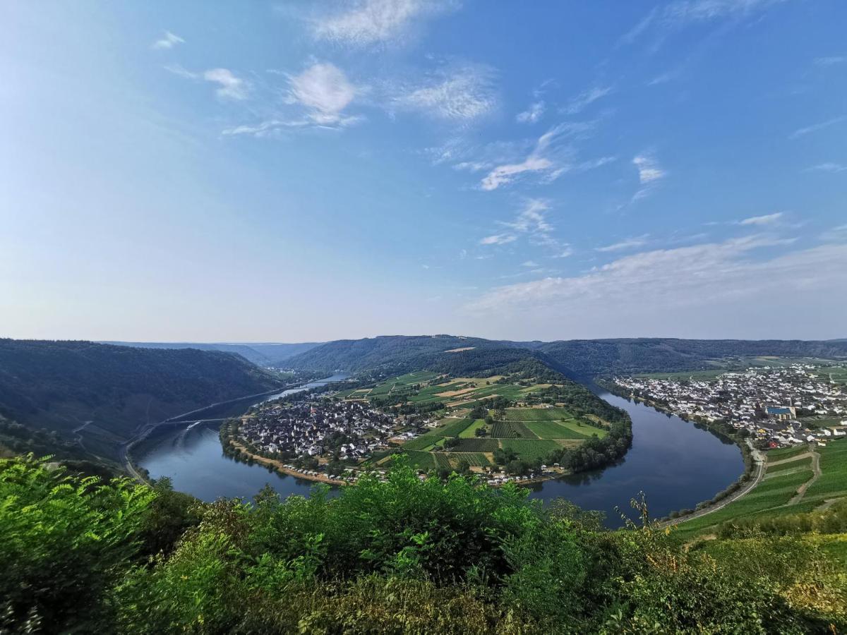 Ferienwohnung Moselpanorama Traben-Trarbach Eksteriør billede